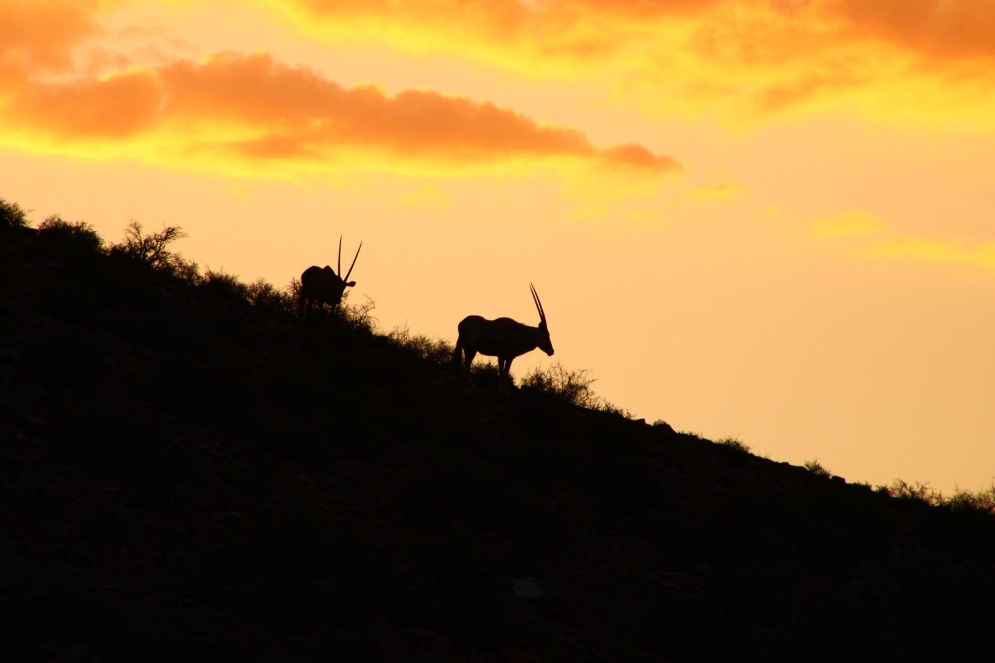 Bosch Luys Kloof Nature Reserve Ladismith Εξωτερικό φωτογραφία