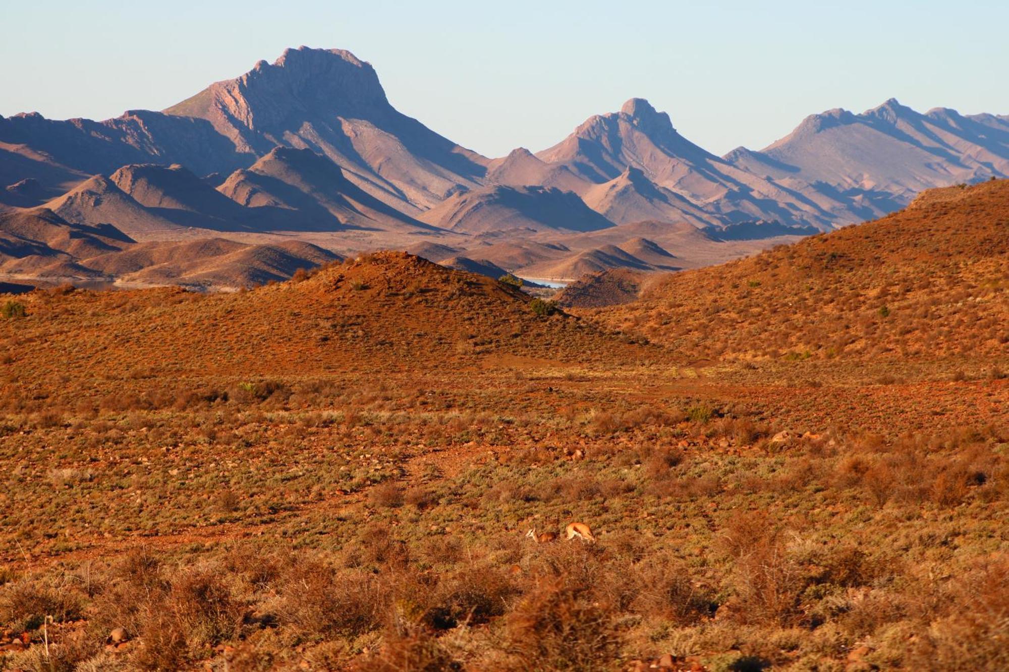 Bosch Luys Kloof Nature Reserve Ladismith Εξωτερικό φωτογραφία
