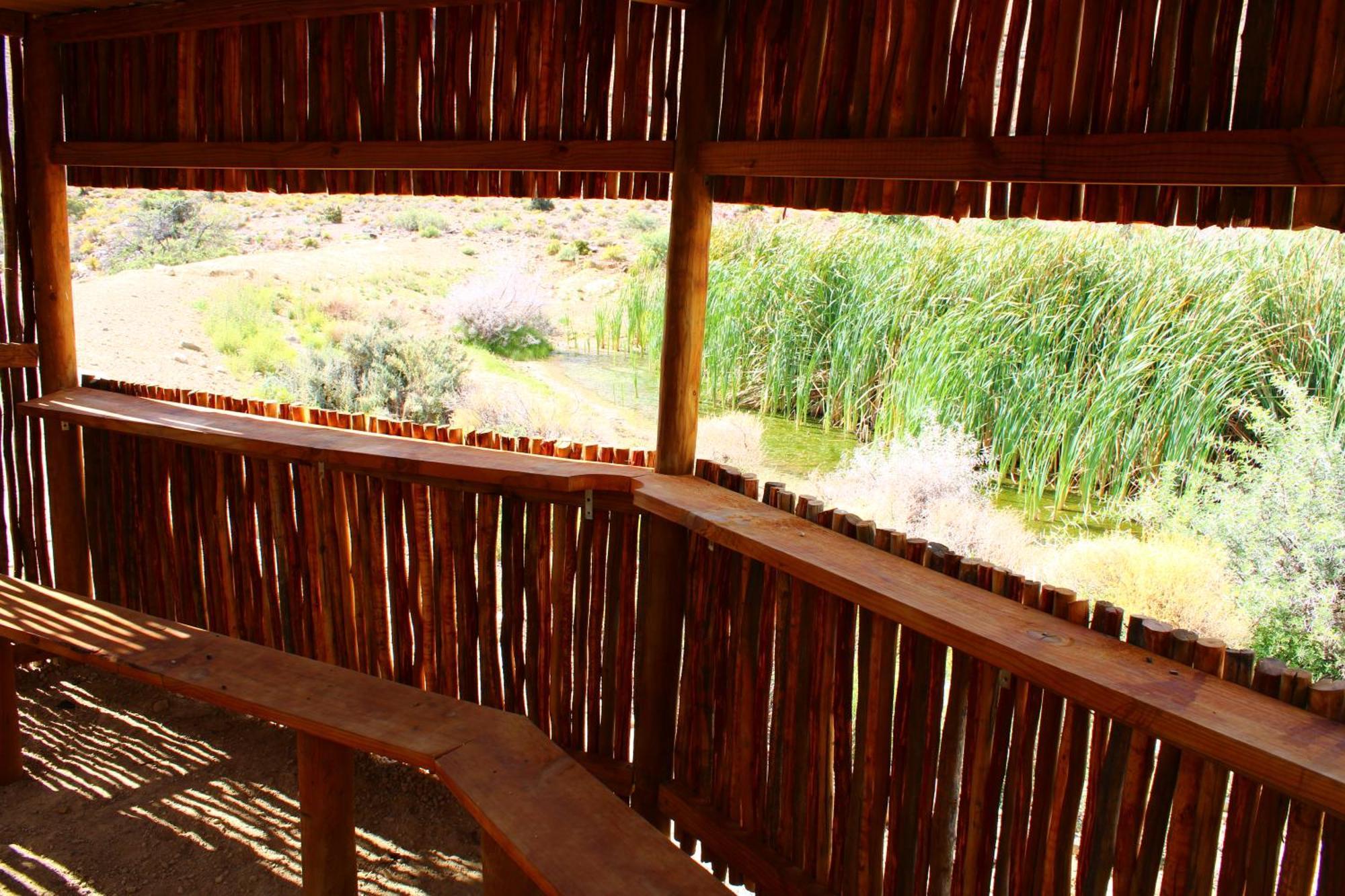 Bosch Luys Kloof Nature Reserve Ladismith Εξωτερικό φωτογραφία