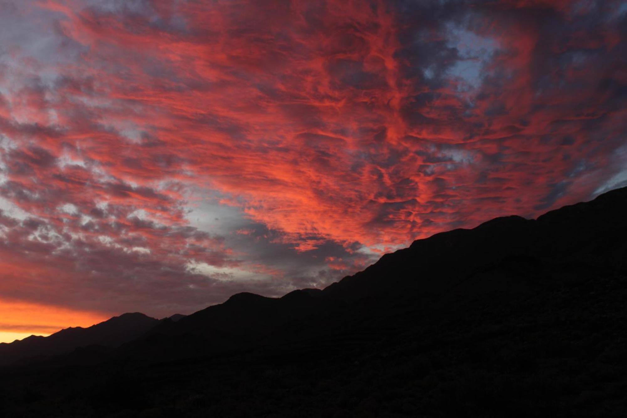 Bosch Luys Kloof Nature Reserve Ladismith Εξωτερικό φωτογραφία